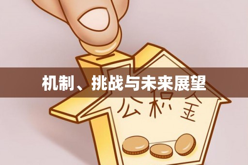 庆云机制、挑战与未来展望